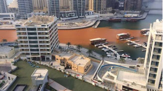 Dubai Marina's orange water is safe according to the municipality
