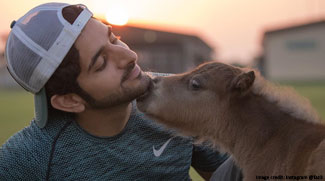 Sheikh Hamdan’s New Pony Named ‘Joy’