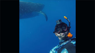 Watch: Sheikh Hamdan Among Giant Sharks