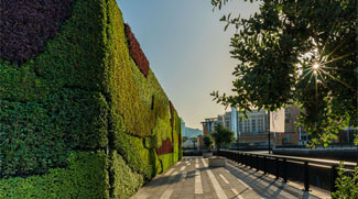 Dubai's First Green Wall