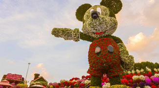 Dubai Miracle Garden’s New World Record