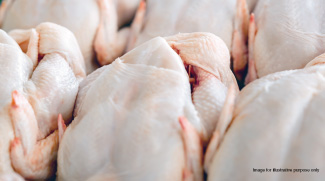 UAE blocks some poultry imports after Croatia avian influenza outbreak