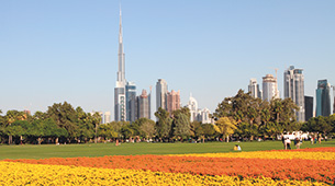 Top 10 parks in Dubai