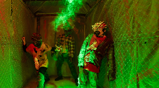 Things To Do For The Weekend 31 October - 2 November